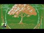 Rahdo Runs Down►►► Arboretum