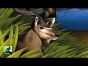 Rahdo Runs Through►►► Habitats