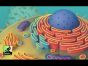 Rahdo Runs Through►►► Cytosis