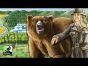 Rahdo Runs Through►►► Barenpark
