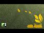 Rahdo Runs Through►►► Alubari: A Nice Cup of Tea