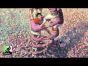 Rahdo Runs Through►►► Castell