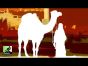 Rahdo Runs Through►►► Merv