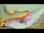 Rahdo Runs Through►►► Bitoku