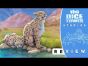 Nature Review: Evolution's Evolution