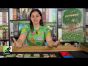 Earthborne Rangers | Maggie's Final Thoughts