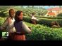 Rahdo Runs Through►►► Viticulture World