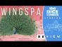Wingspan Asia Review: 2 in the hand is better than 7 in the bush!