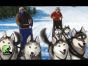 Rahdo Runs Through►►► Snow Tails