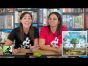 Planta Nubo | Amy & Maggie's Final Thoughts
