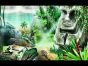 Rahdo Runs Through►►► Tobago