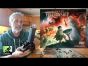 Fate of the Fellowship ►►► It's the most epic & thematic Pandemic game yet, but is it the best?