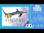 Finspan: Sharks & Reefs Review: Card Sharks