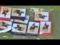 Dice Tower Reviews: Commands & Colors: Napoleonics