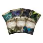 Arkham Horror: The Card Game – The Circle Undone: Campaign Expansion
