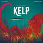 Kelp: Shark vs Octopus