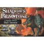 Shadows of Brimstone Hell Vermin